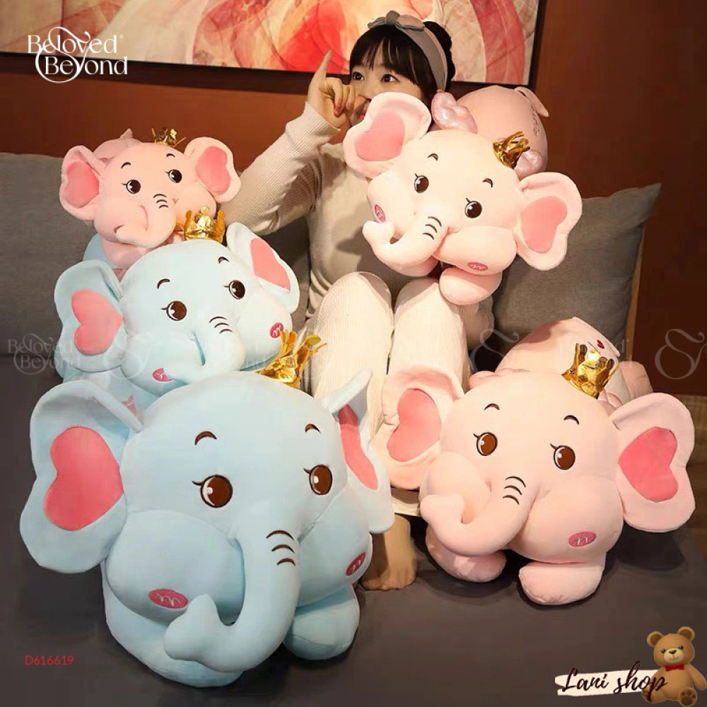 Voi Nằm - belovedbeyond.com