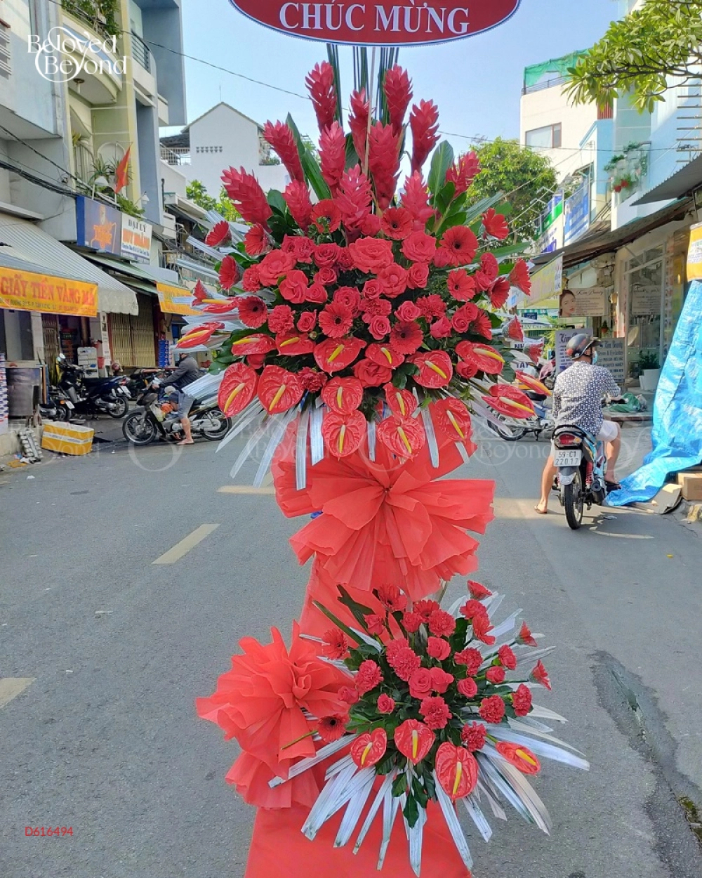 Hoa Chúc Mừng - Nhiệt Huyết 1 - belovedbeyond.com