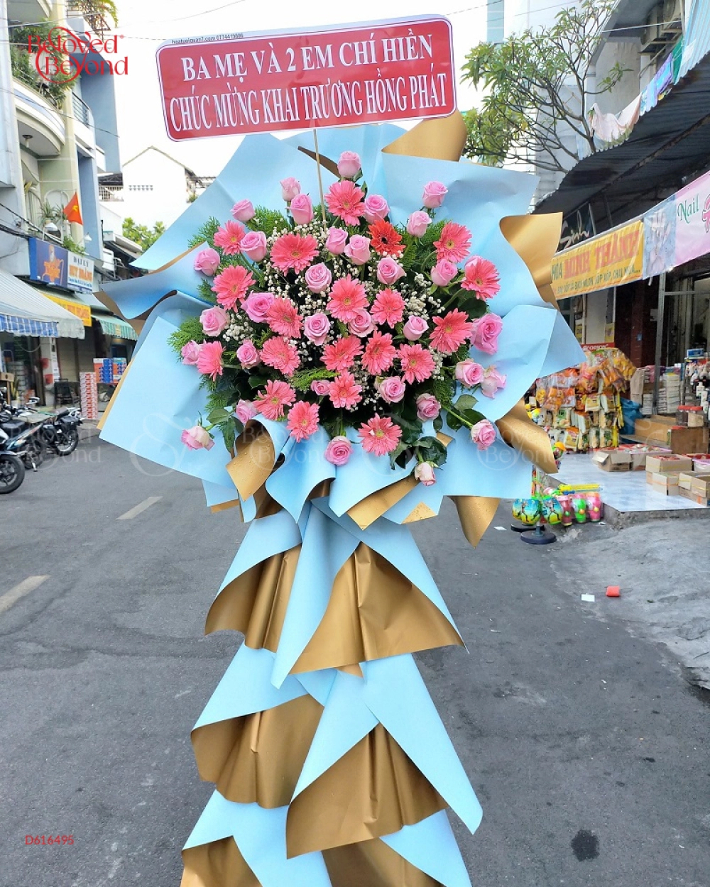 Hoa Khai Trương Sắc Xuân - belovedbeyond.com