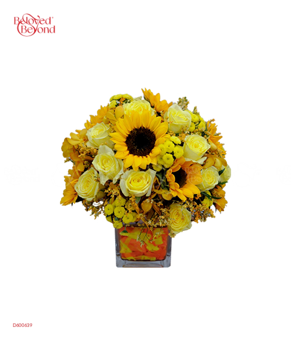 Đồng Dao Mùa Hè - belovedbeyond.com