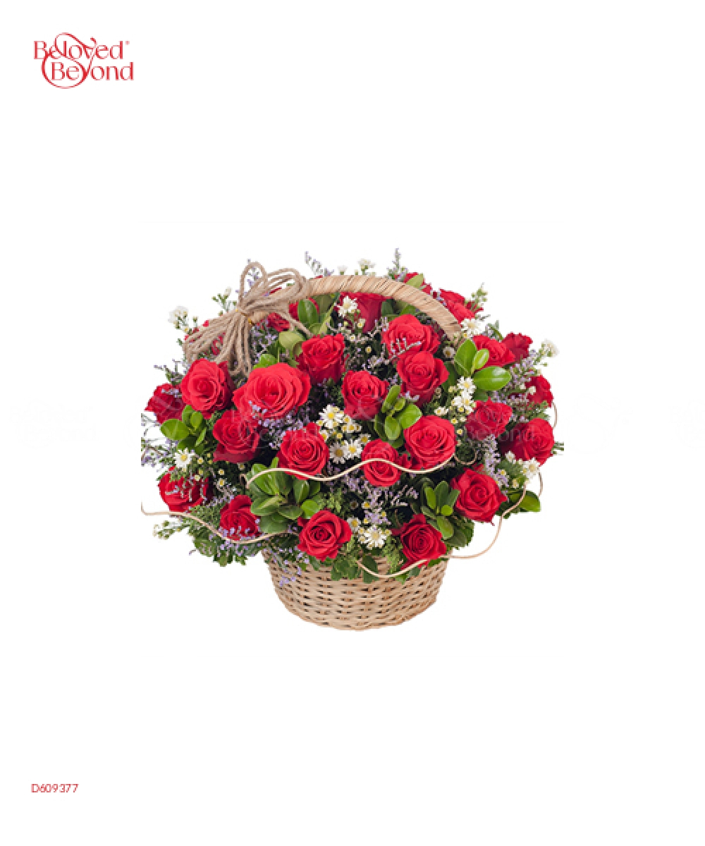 Hè Rực Rỡ - belovedbeyond.com