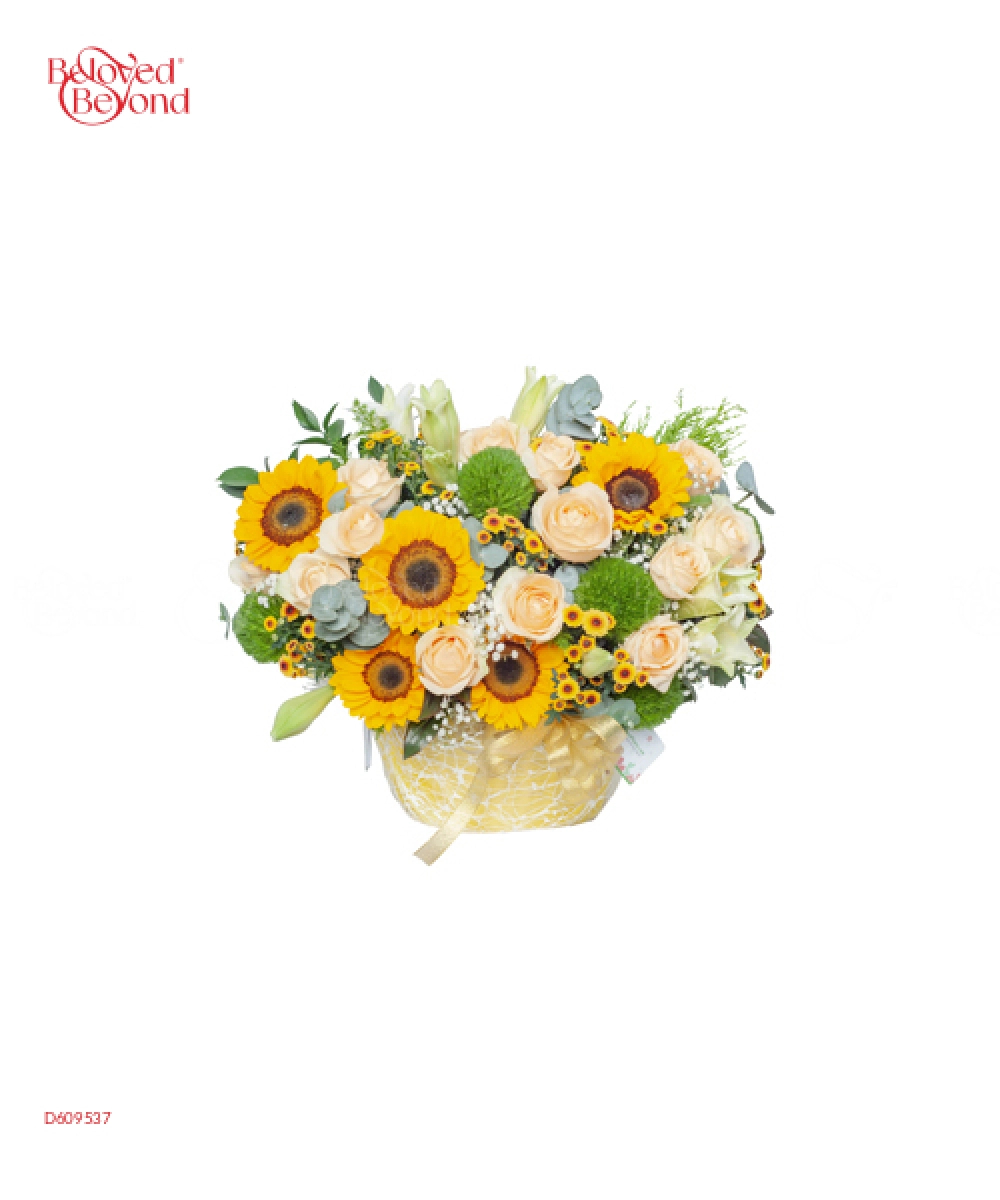 Hoa Mặt Trời - belovedbeyond.com