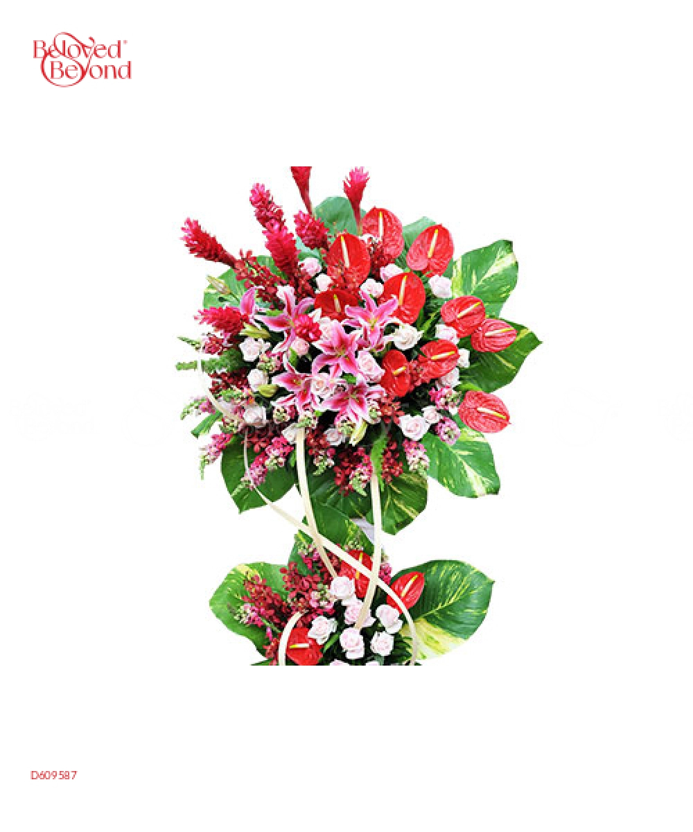 Tương Lai Rực Rỡ - belovedbeyond.com