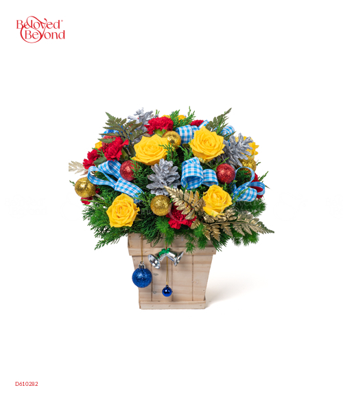Noel Rực Rỡ - belovedbeyond.com