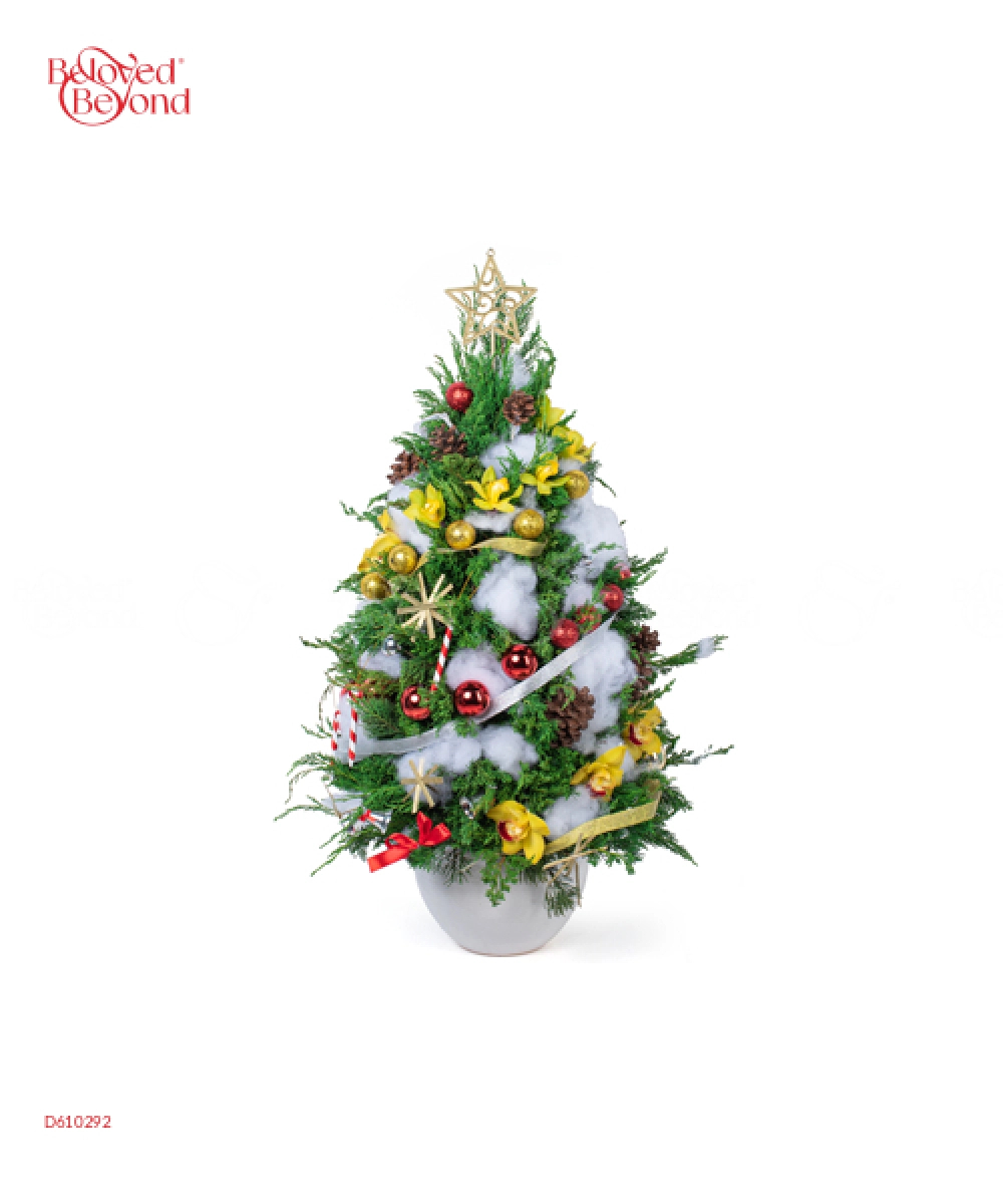 Little Christmas Tree - belovedbeyond.com