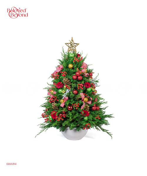 Back To December - belovedbeyond.com