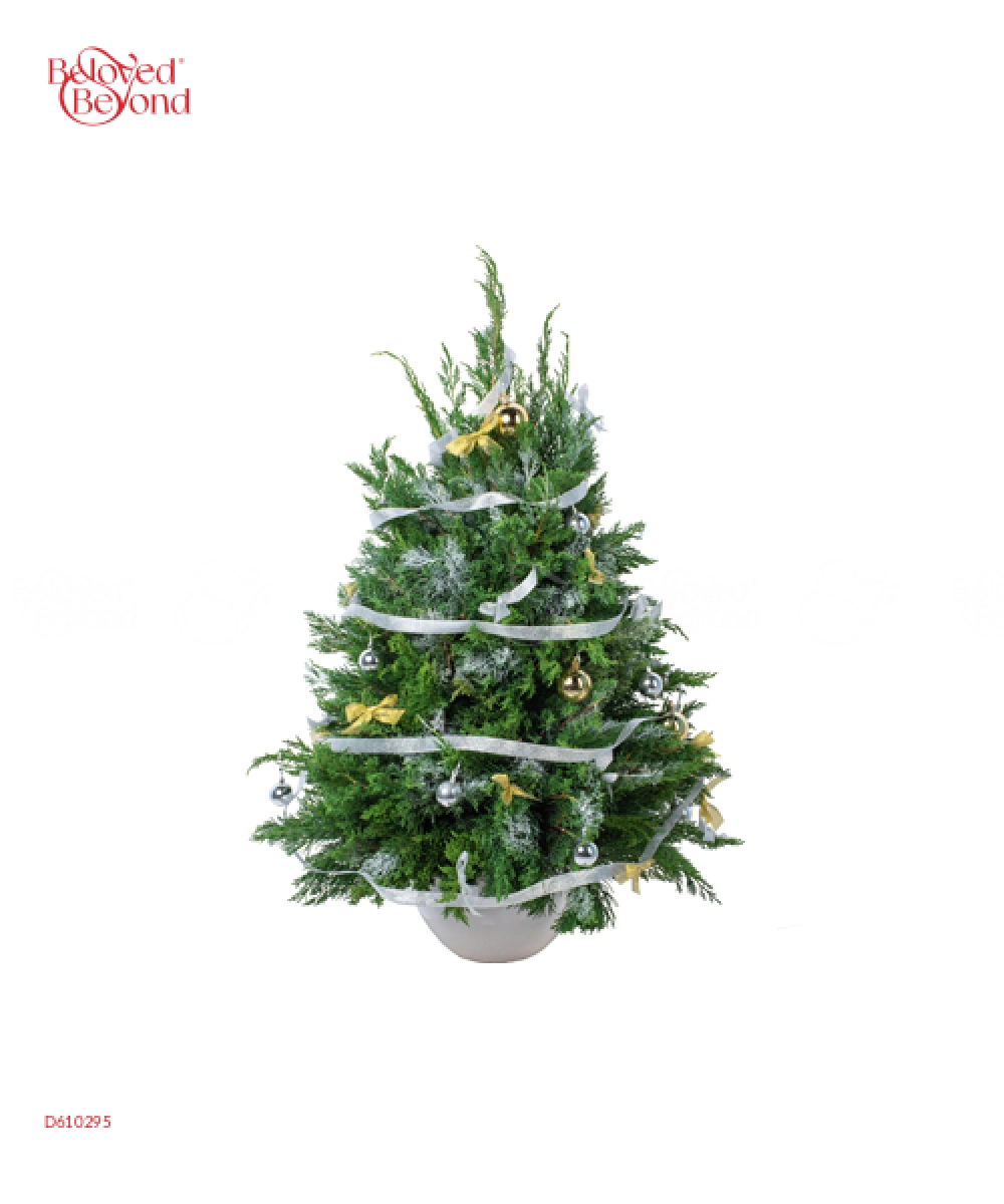 Hello December - belovedbeyond.com