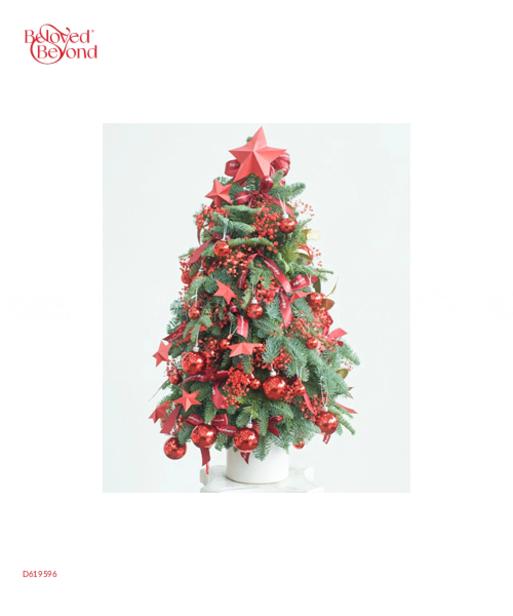 Thông Tươi Noel 100Cm 02 - belovedbeyond.com