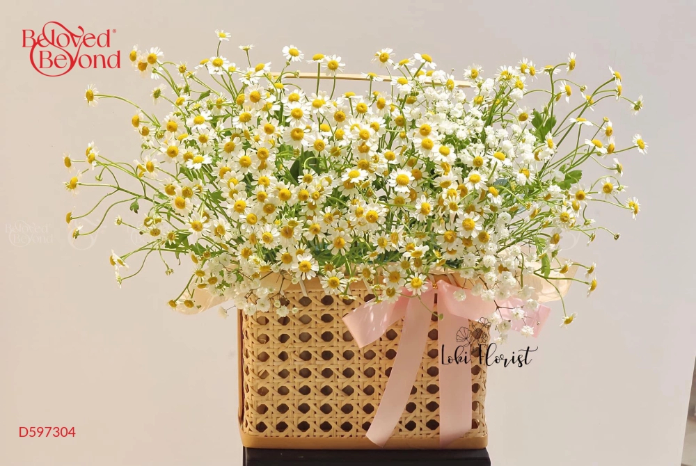 Xinh Xắn - belovedbeyond.com