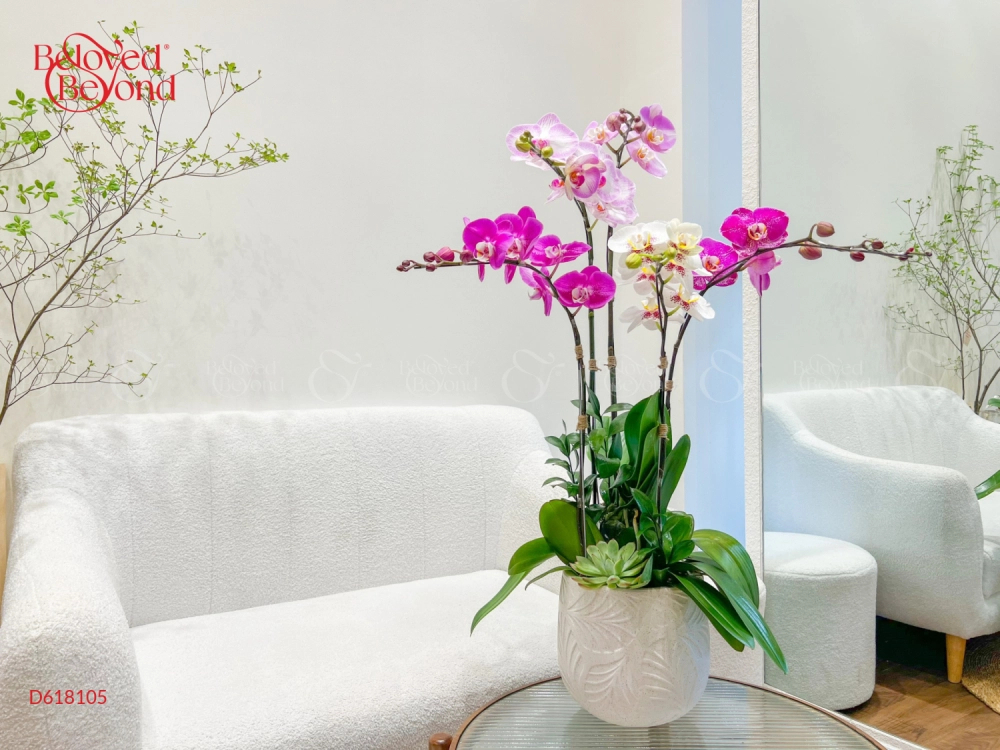 Sắc Màu - belovedbeyond.com
