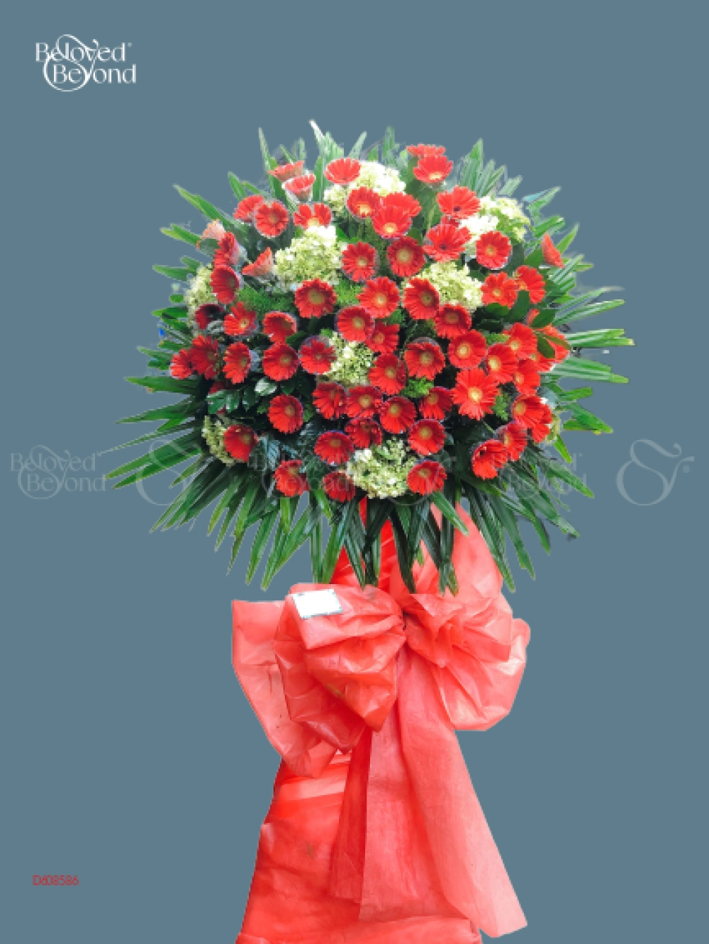 Shop Hoa 54 | Hoa 198 - belovedbeyond.com