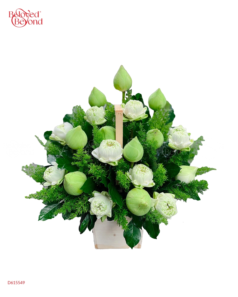 Hoa Trắng - belovedbeyond.com