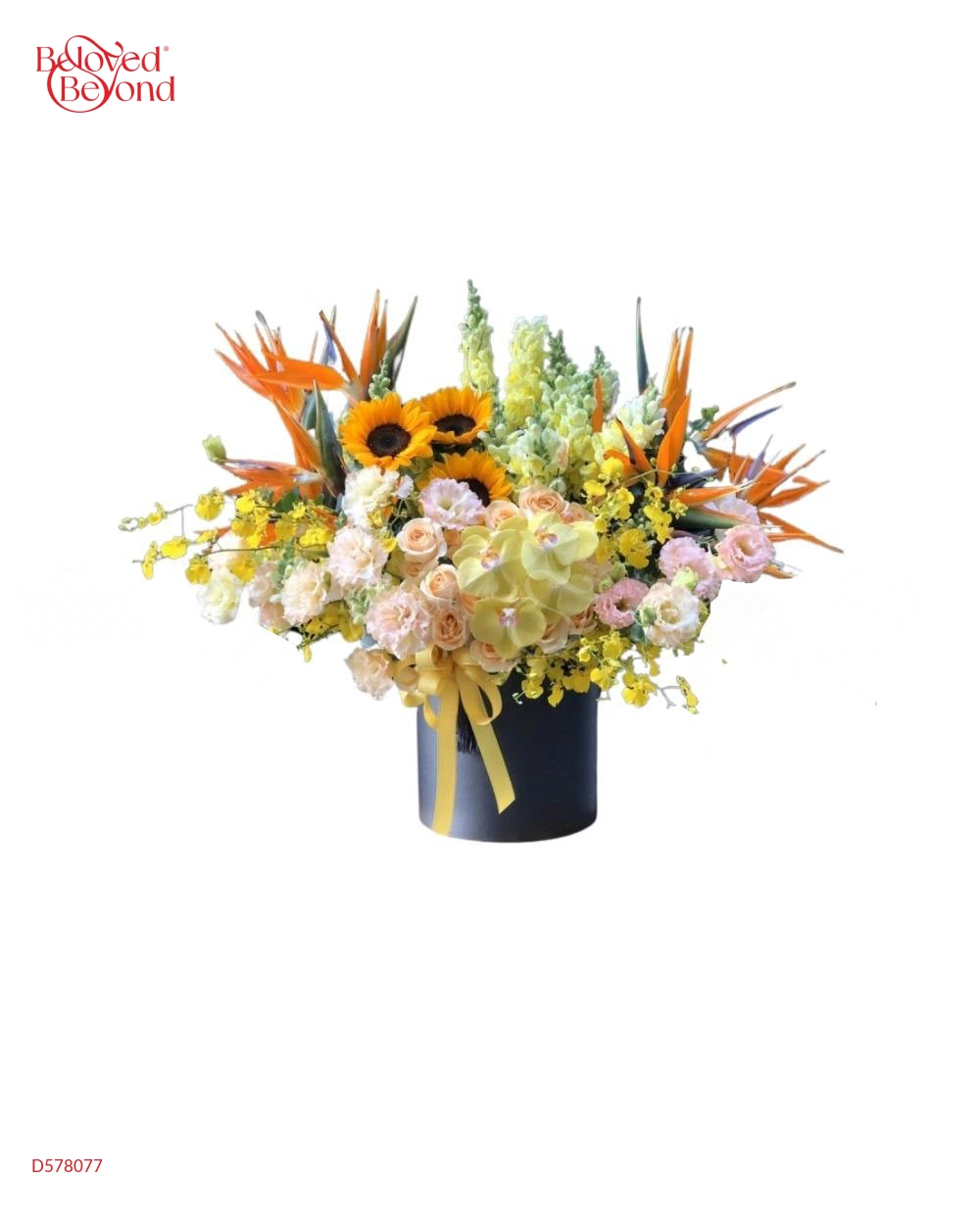 Thành Công - belovedbeyond.com