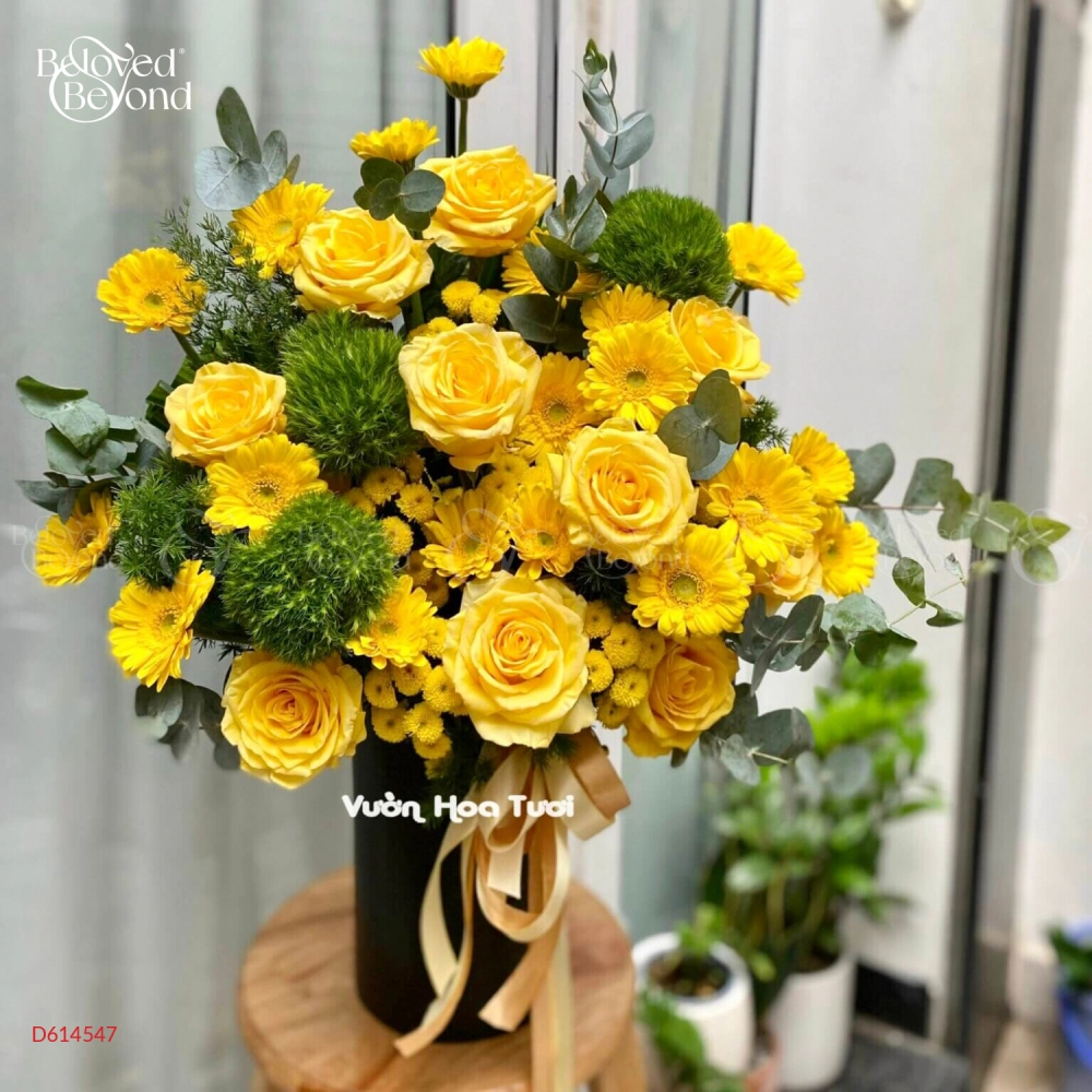 Lẵng Hoa Khai Trương Đồng Tiền Hồng Vàng - belovedbeyond.com