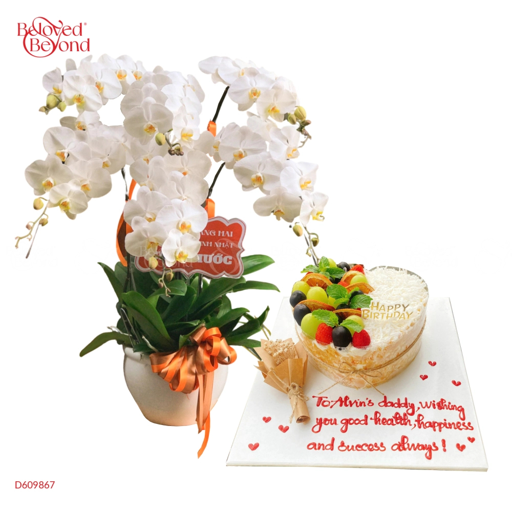 Lan Hồ Điệp & Bánh Kem - belovedbeyond.com